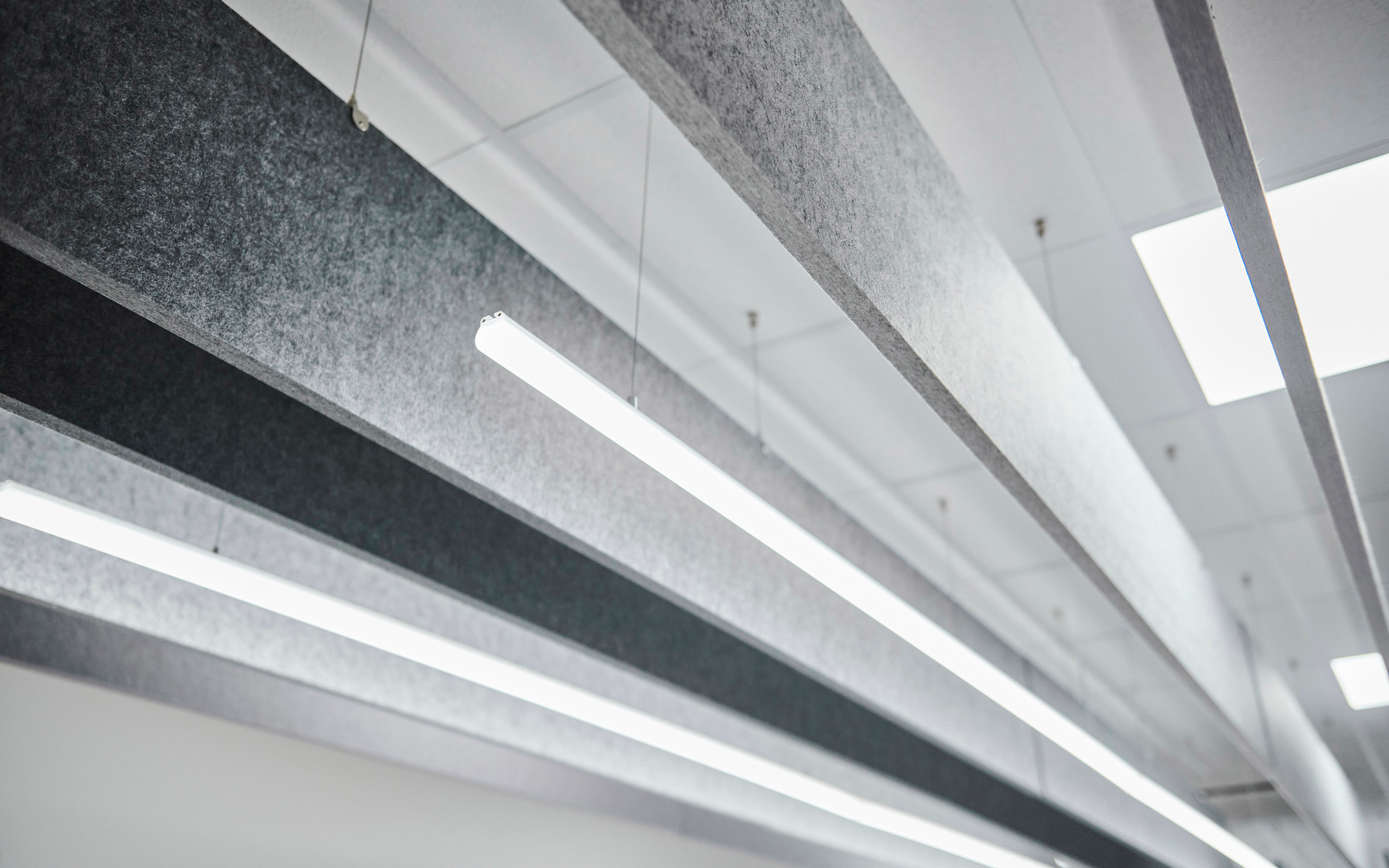 Office12 Behrens 0241